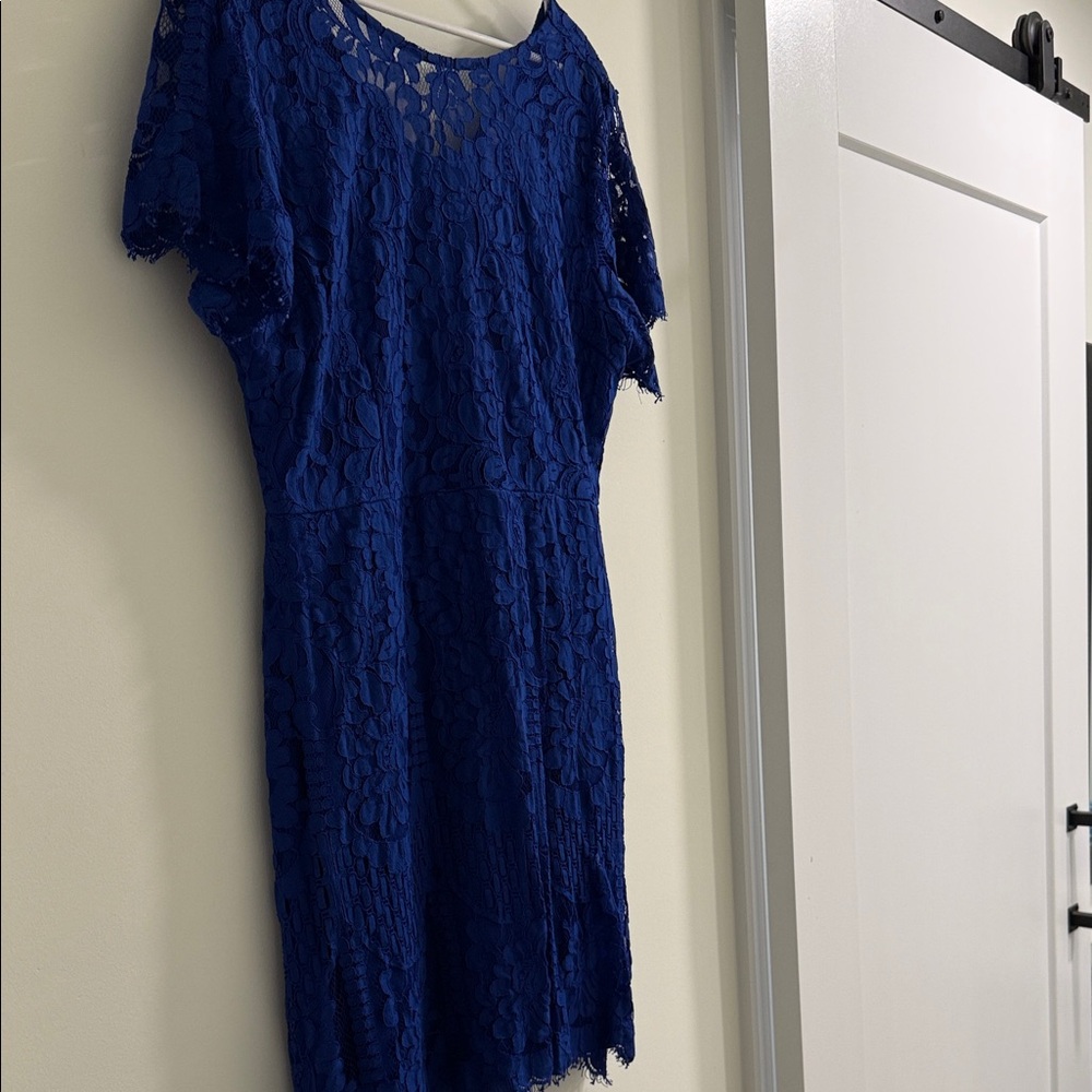 Amazon Blue Lace Midi Dress